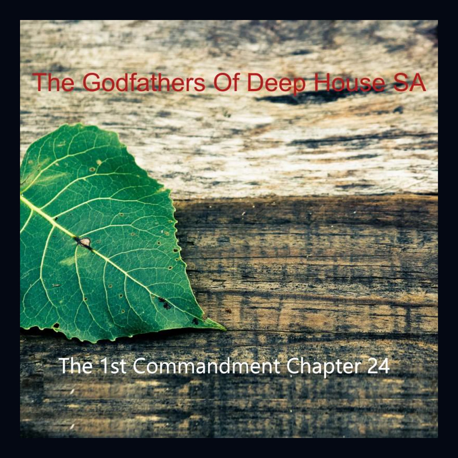 The 1st Commandment Chapter 24